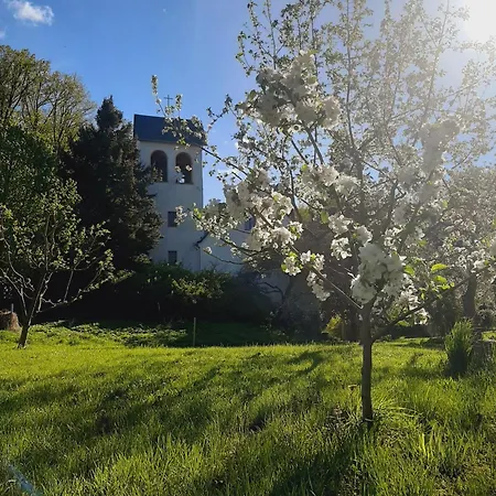 Die Malche Gaeste Und Tagungshaus Villa App 13 Lejlighed *
