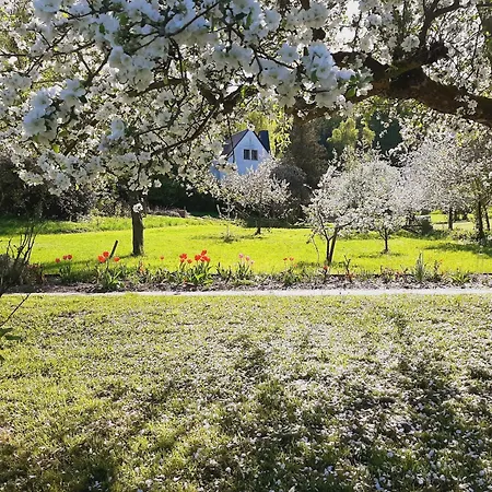 Die Malche Gäste und Tagungshaus Villa App 13 Apartment Bad Freienwalde